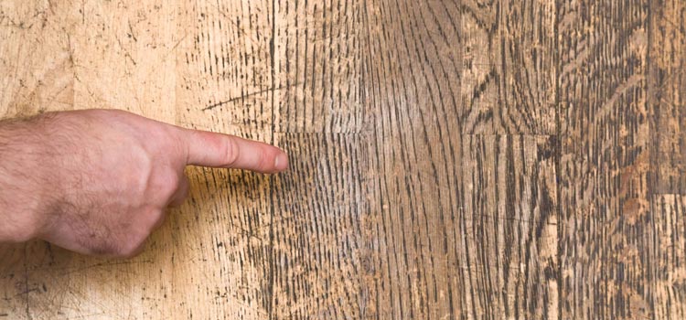 Wood Door Scratch Repair in Malibu